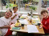 Grow your own way: Spud scheme gives pupils a taste of gardening