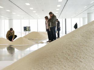 Acclaimed global installation comes to Farnham Maltings