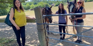 Equestrian centre faces biggest hurdle as 49 homes proposed