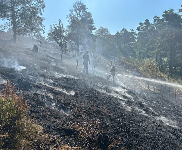 Common may take 'years to recover' from devastating wildfire