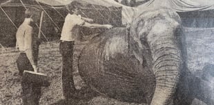 Peeps into the Past: Farnham's really wild show