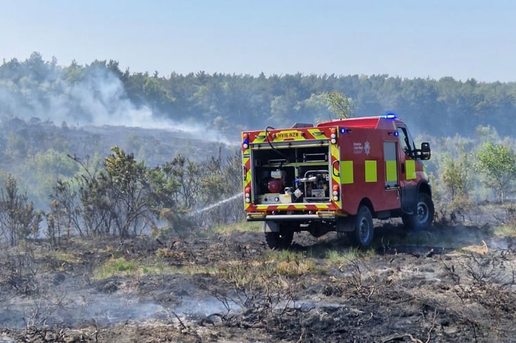 A library image of a wildfire in Hampshire.
