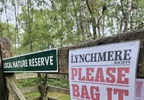 Protect Haslemere's rare wildlife from dog waste