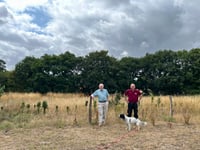 Wildflower meadow project is blossoming at Pierrepont Farm
