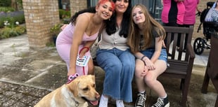 Liphook dog show raises £300