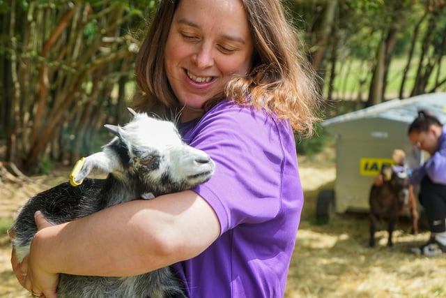 Animal-assisted outreach supports young people with anxiety in Surrey