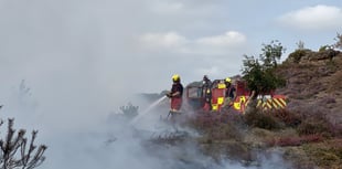 Campfire causes Churt wildfire