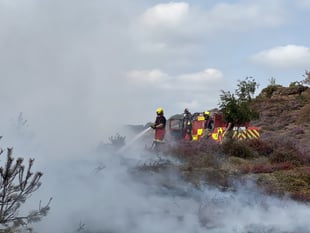 Stop lighting fires, warns Fire Chief after Churt Common blaze