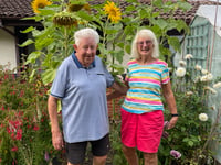 Blooming brilliant: Liphook sunflower winners reach new heights