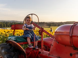 Thousands of visitors have enjoyed Cowdray’s Maize Maze this summer