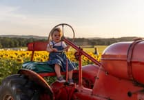 Thousands of visitors have enjoyed Cowdray’s Maize Maze this summer