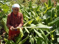 Hampshire and Surrey clubs and societies news