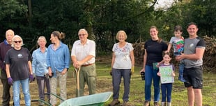 From physical to quizzical as interest grows in Grayshott orchard