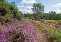Join Hampshire's female conservationists!