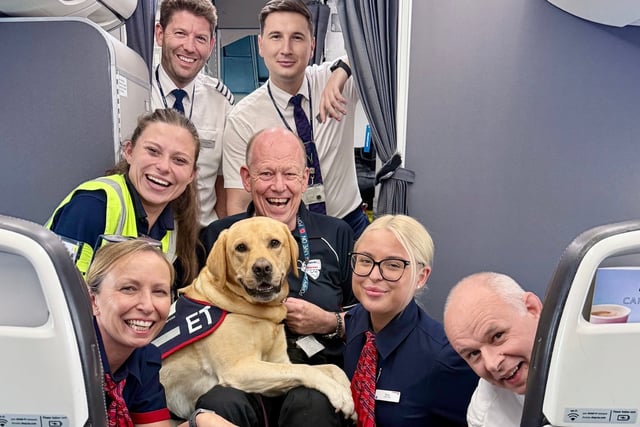Hola Hounds for Heroes as assistance dog makes 100th flight