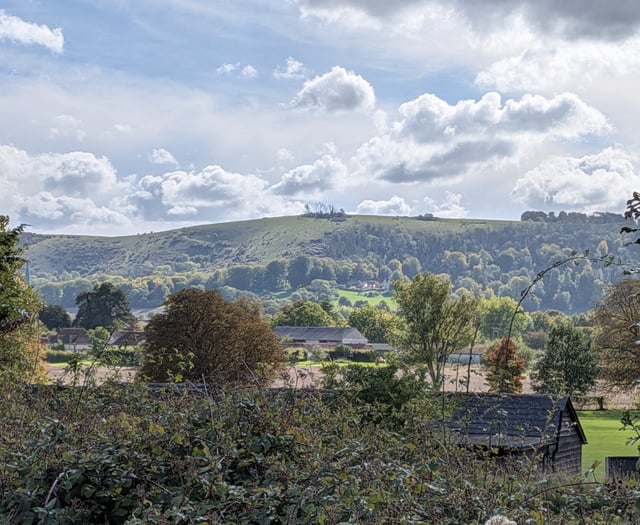 Paraglider rescued from tree at South Downs beauty spot