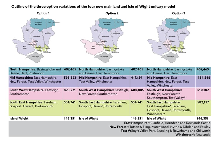 Hampshire County Council reorganisation's three options.