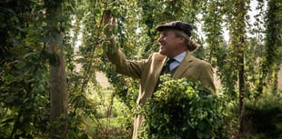 Surrey's Hogs Back Brewery completes hop harvest in record time