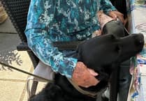 It’s a ‘paw-fect’ dog’s life at one Surrey care home