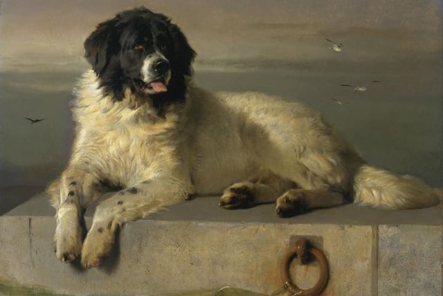 The Arts Society Grayshott explores writers and their animal muses