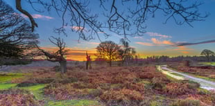 Hampshire national car park charges spark local outrage