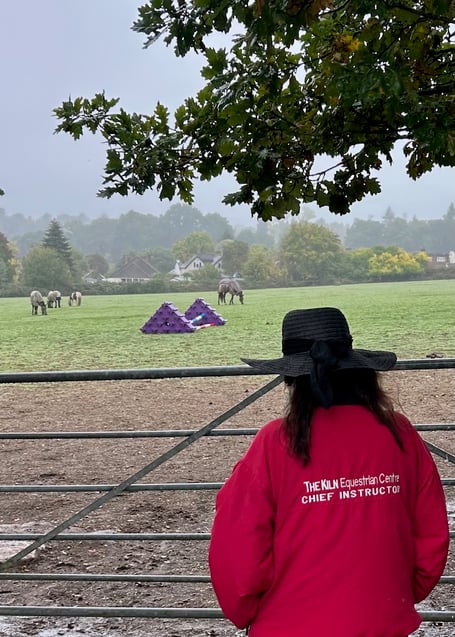 Angie Macleod, who runs The Kiln Equestrian Centre, looks out over the threatened field.