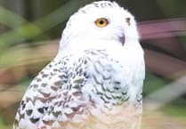 Birdworld hatches plans for a year of family fun