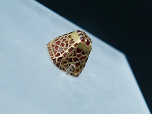 Rare Anglo-Saxon treasure to go on display after community campaign