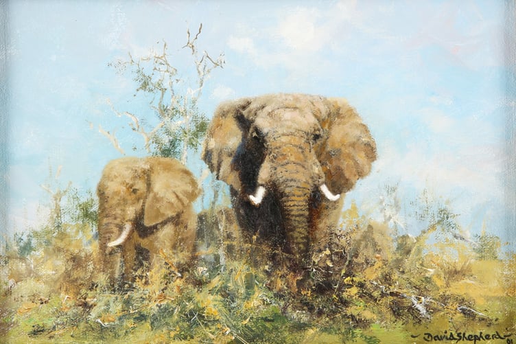 David Shepherd's Elephants Amongst Thick Foliage, oil on canvas