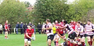 Petersfield fall to defeat at Twickenham