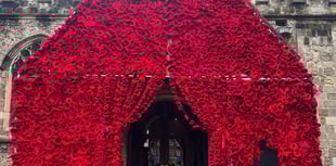 Wool you have a look at this? Pride in Petersfield Poppy Project