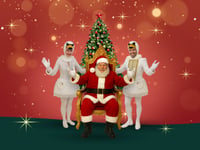 Santa ‘swans’ into Birdworld for festive family shows