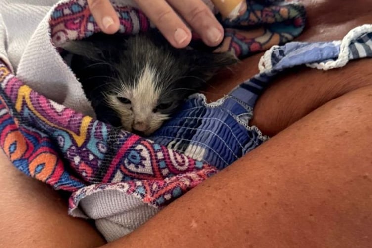 Clover tucked up with Amanda Patterson.