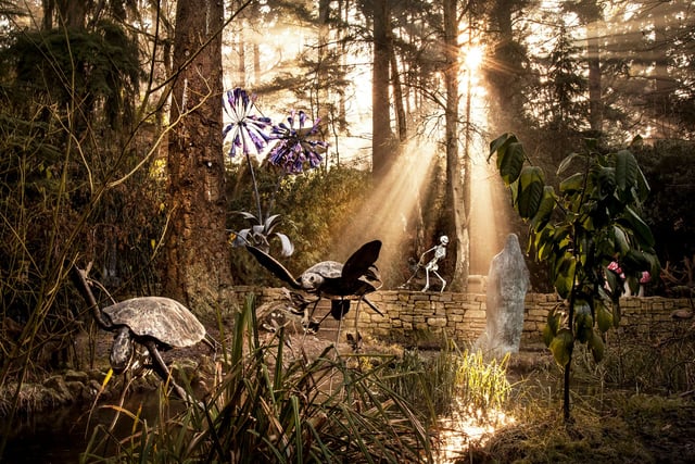 Surrey's art gem: The Sculpture Park