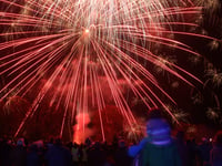 Haslemere Museum's biggest fundraiser goes off with a bang