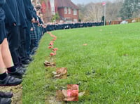 Highfield's Remembrance Day Tribute