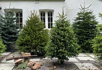 Rosemary Foundation gets early Christmas gift from Rake Garden Centre