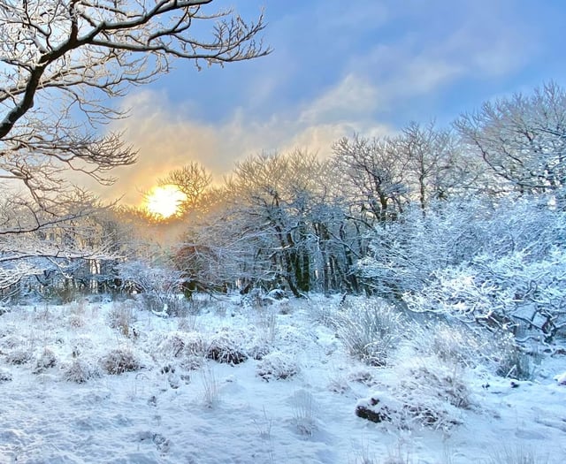 Dream of a white Christmas denied in Surrey and Hampshire