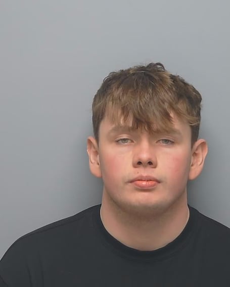 Leo Michael George Critchley, 21, of Alton, was jailed at Winchester Crown Court for dangerous driving.