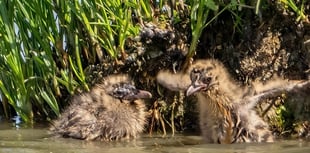 Calls made to protect national landscapes