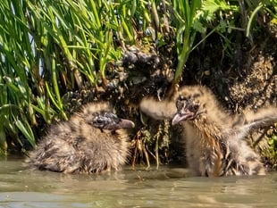 Calls made to protect national landscapes
