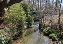 Importance of local chalk streams and rivers recognised by council