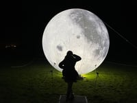 Finding winter wonder at Gilbert White’s Eco Light Festival