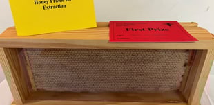 Sweet success for Weydon School's honey-makers