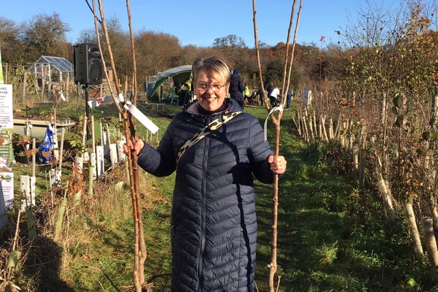 Dreaming of a green Christmas as PeCAN has a tree-mendous offer