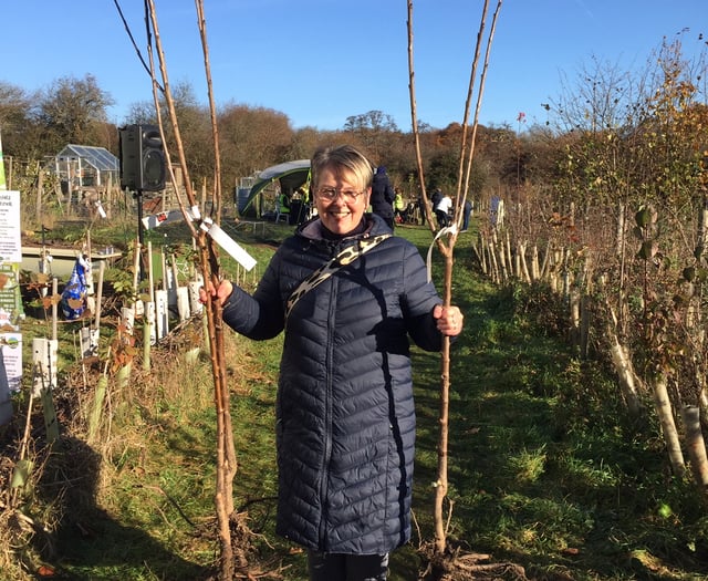 Dreaming of a green Christmas as PeCAN has a tree-mendous offer