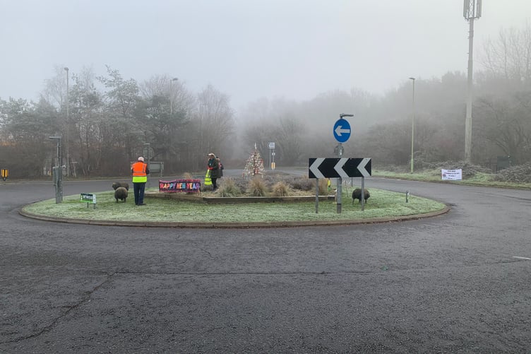The sheep roundabout on the A3013 between Fleet and Farnborough.