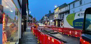 Farnham rain gardens scrapped after turning into muddy quagmires