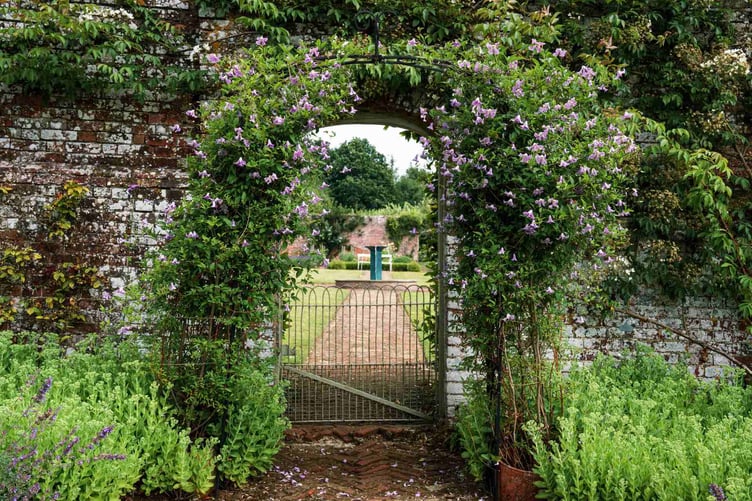 Phyllis Tuckwell open garden event