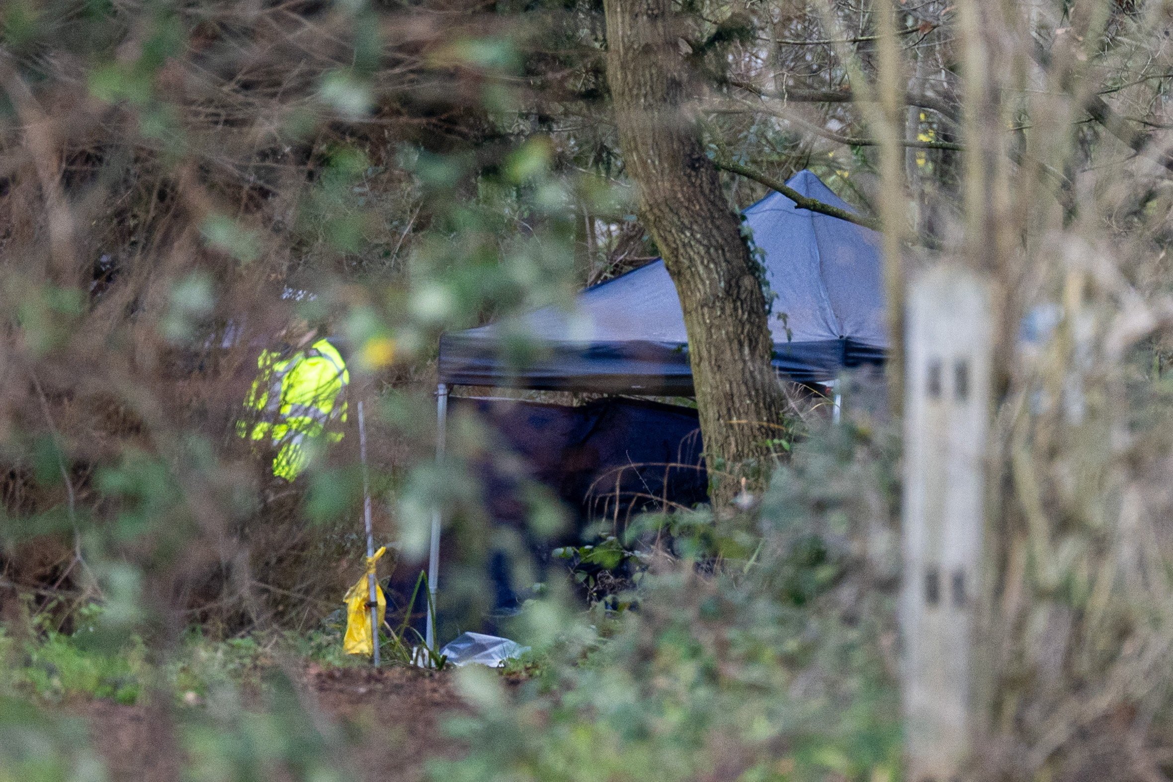 Murder investigation launched after teenager dies in Guildford ...